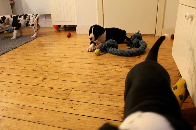 Mads ligger ner och planerar en attack.