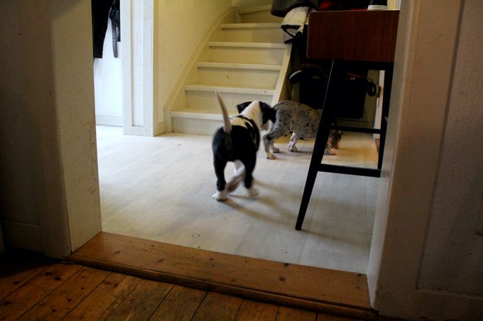 Brigitte och Merle leker i hallen.
