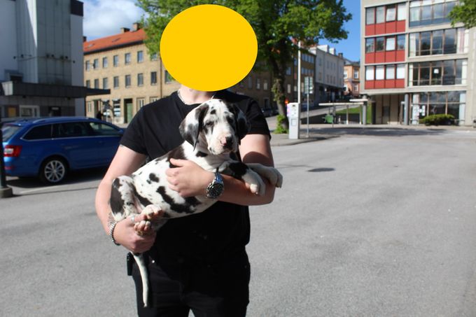 SARAAHKA UPMESTE