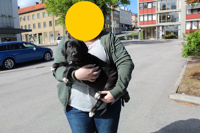 MAADTERAAHKASSA UPMESTE 